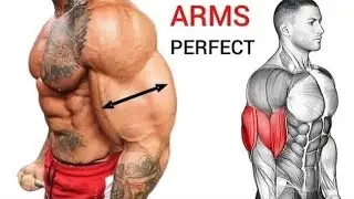 Biceps Exercise Tier List (Simplified) of 2024 | 6 Effective Bicep Exercises -Unseen Fitness Vision