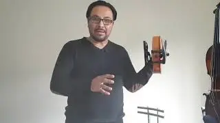 Cojín y barbada wittner