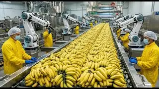 Inside a Banana Bread Factory  Future Automated Production Process  (Full Process)