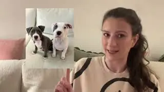 Foster Puppies, Adoption Process & Why I Foster | Answering Common Concerns