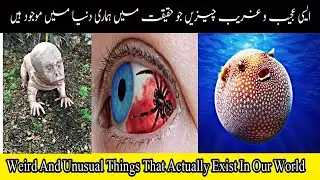 Top 8 Weird And Unusual Things That Actually Exist In Our World|عجیب و غریب چیزیں دنیا میں موجود ہیں