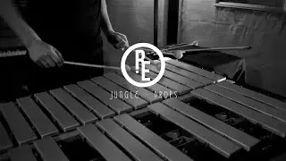 Jungle - Drops