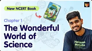 Class 6 Science Chapter 1 Curiosity