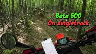 To take the Beta 500 or not?