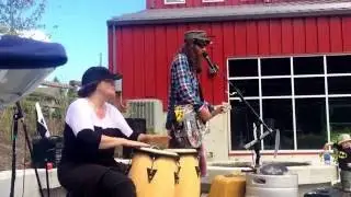 walden plays working class hero july 23rd 2016 at riot brewing