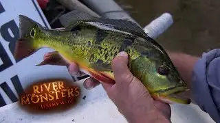 Removing Florida's Non-Native River Residents | River Monsters