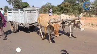 MKOKOTENI WA NG'OMBE WAZUA SOKOMOKO,RC MWANRI AUWASHA MOTO BARABARANI 