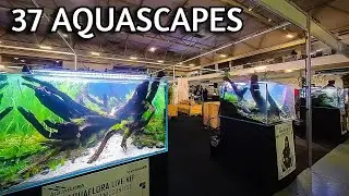 Aquascaping Inspiration at Vivarium 2022 (37 tanks in less than 5 minutes)