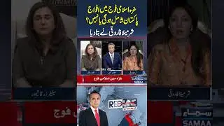 Is Pakistan Joining the Islamic Forces for Gaza? Sharmila Faruqi Speaks Out! | Redline