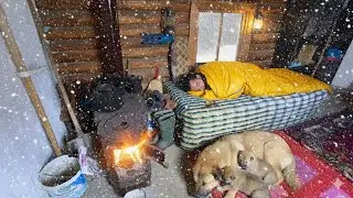 Trapped Alone in -40&deg;C Blizzard | BLIZZARD AT THE CABIN | 2 Days in a Winter Storm with my Dog!
