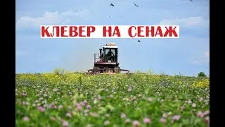 Техника Колхоза 