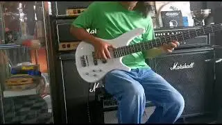 RC Stromm bass guitar ..good sound