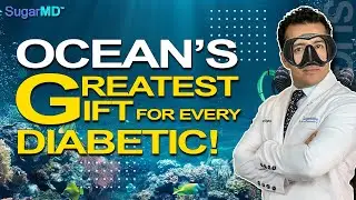 Sea Moss Benefits For Diabetes Revealed!
