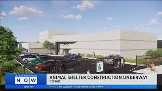 Construction on new Detroit Animal Care and Control facility to begin in January