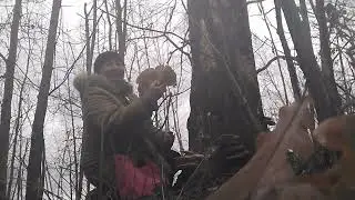 Гуляем с Лари...22 декабря...прогулялись за грибами...ищем и находим...