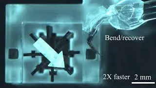 A tiny, magnetically actuated gearbox that gives microrobots more power