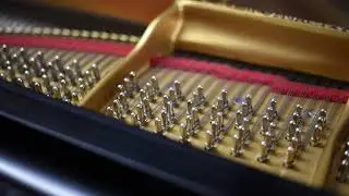 Henry Z Steinway Signed Limited Edition Steinway & Sons Model B