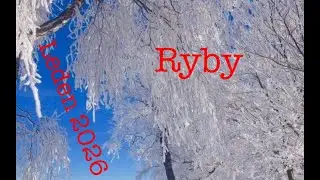 RYBY😊pro ženy i muže❤️💙