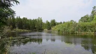 River Reflections.