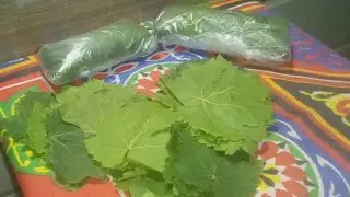 جربى ومش هتندمى👌تفريز ورق العنب  وتخزينه من السنه للسنه بدون مايسود