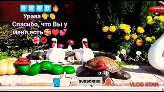 Долгожданная1️⃣0️⃣0️⃣0️⃣👏🔥с.Шалажи.Наша школа🤩 короткое видео о моём селе 🌺🥰