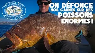 COMMENT MALTRAITER VOS CANNES &Agrave; P&Ecirc;CHE 🎣 RECORD IGFA M&Eacute;ROU - P&Ecirc;CHE DU DENTI | P&Ecirc;CHE LIGHT #161