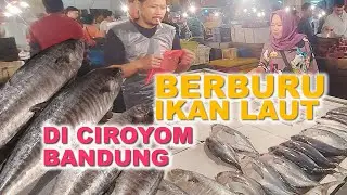 Berburu ikan laut di Ciroyom #hobahfamily #ikanlaut #ikanlautsegar #ciroyom #mancingmania #mancing