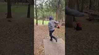 🔥 Amazing Disc Golf Shots in the Woods | Richie&rsquo;s Epic Birdie Drain! 🥏🌲 #Shorts