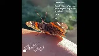Peace in sorrow
