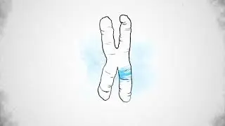 Diagnostic Genetic Tests