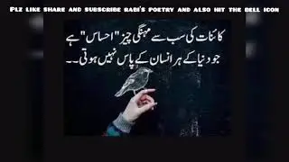 BEST AND POPULAR ADVICE QUOTES ABOUT REALITY OF LIFE -ADVICE QUOTES COLLECTION BY RABI'S POETRY