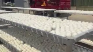 felt dryer ball