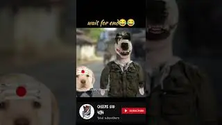 Thalaivar Fan💥💥Cheems dog funny video tamil 🤣 #cheems #cheemstamil #funny #shorts #trending #rajini