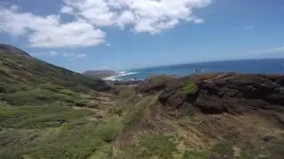 Shendrone orca first time cliff diving