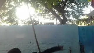 ZILTD #1