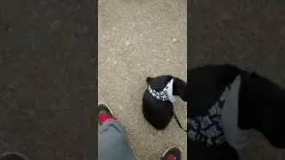 Taking Huck Outside Cont'd