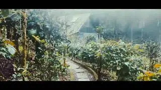 Best estate stay with a amazing view in Coorg #comehometowoodpecker #coorg #coorgtourism