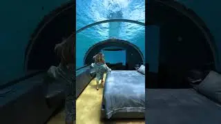 Discover a sanctuary below the surface