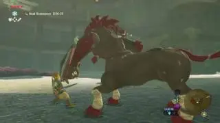 Lynel in Coliseum Ruins (4 Hearts)