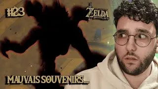 ON ME REPLONGE DANS MES TRAUMAS ?! (Zelda BOTW)