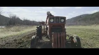 Case 284D Tractor in Action: Pulling a Woods Disc for Field Prep