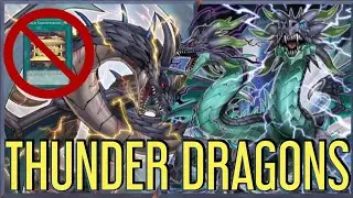 THUNDER DRAGONS without Gold Sarcophagus! New boss monster Dragonduo from Future Horizon! [ Yu-Gi-Oh