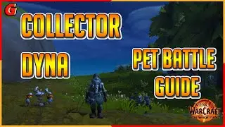 Collector Dyna Pet Battle Guide - Isle of Dorn - The War Within
