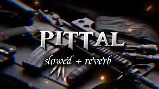 PITTAL (PITTAL OFFICIAL MUSIC) 🎵 singer PS polist New song 2025