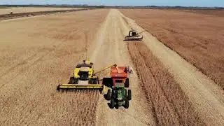 ROBOT Takes Picture Of Harvesting - Harvester Machine Working - Agriculture -CopyRight Free HD Video