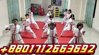 Wushu Kung fu Basic Punch Training 