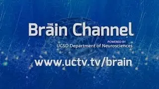 The Brain Channel