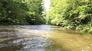 Gentle Stream Sounds 1 Hour Relaxing Water Sounds For Meditation Focus Sleep Nature Sounds Study