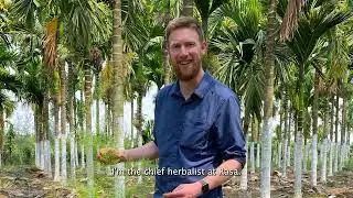 Ingredient Sourcing Stories: Shatavari