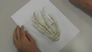 The Hand